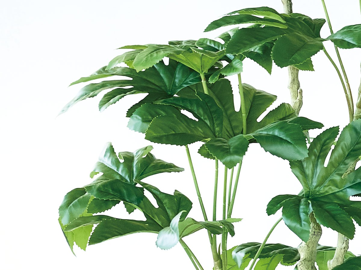 BROWN Japanese Aralia Pot / ブラウン ヤツデ ポット 145 （花器・プランター・グリーン > フェイクグリーン・フェイクフラワー） 4