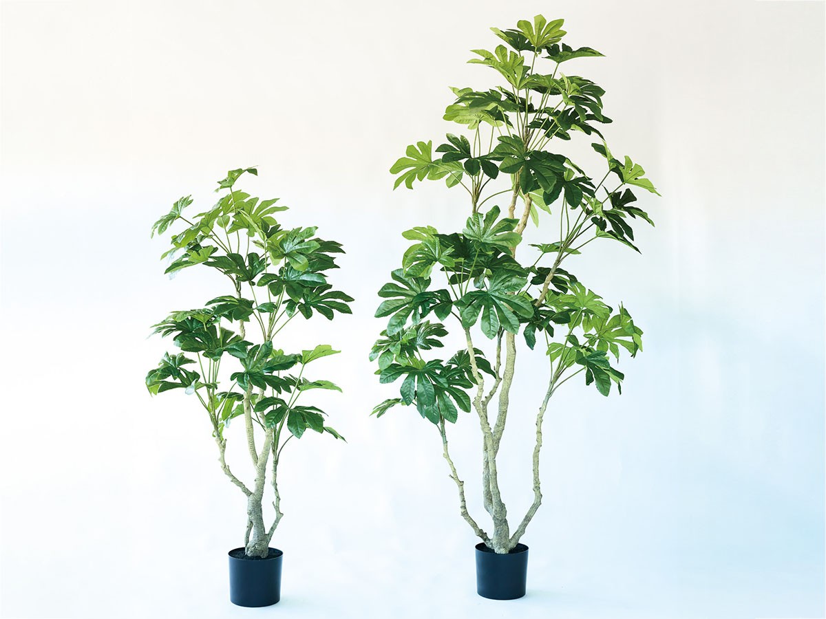 BROWN Japanese Aralia Pot / ブラウン ヤツデ ポット 145 （花器・プランター・グリーン > フェイクグリーン・フェイクフラワー） 2