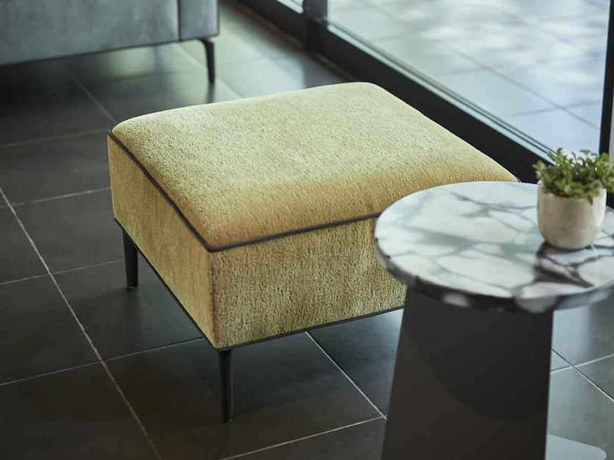 ABORD OTTOMAN / アボール オットマン F015T-1 （ソファ > オットマン） 6