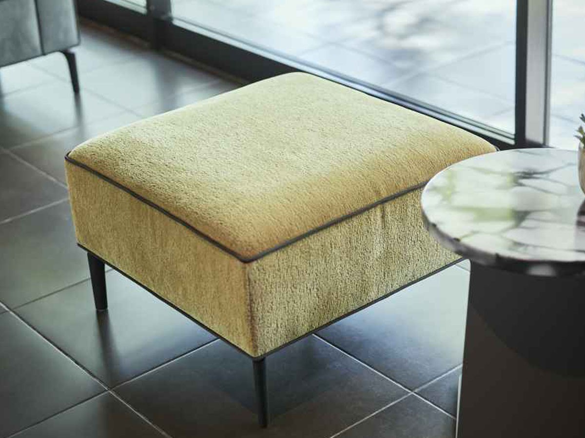 ABORD OTTOMAN / アボール オットマン F015T-1 （ソファ > オットマン） 5