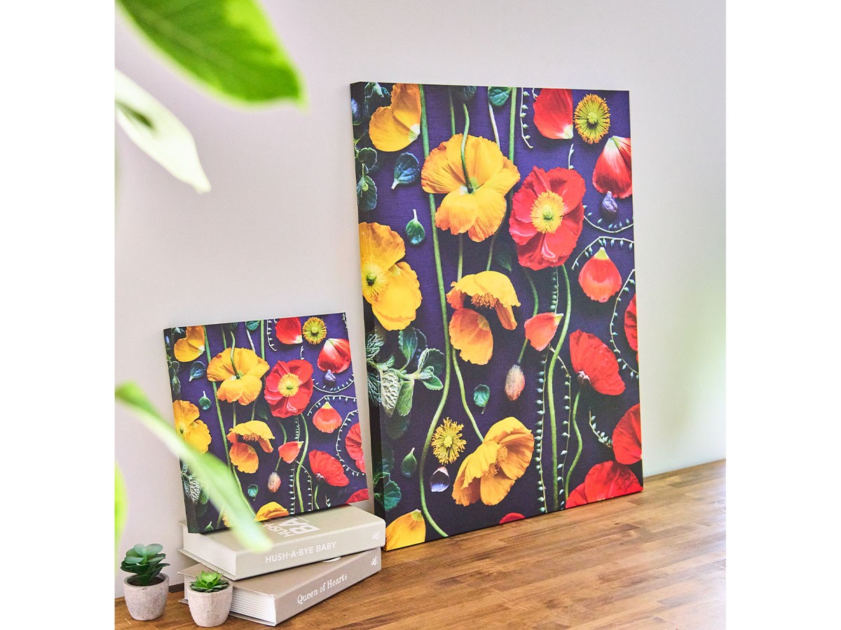 YOKO Takeuchi Botanic Poppy / ヨウコ タケウチ ボタニック ポピー スクエア （アート・オブジェ > フォトパネル・フォトアート） 3