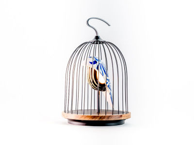 FLYMEe PLUS JinGoo Feathered China / フライミープリュス