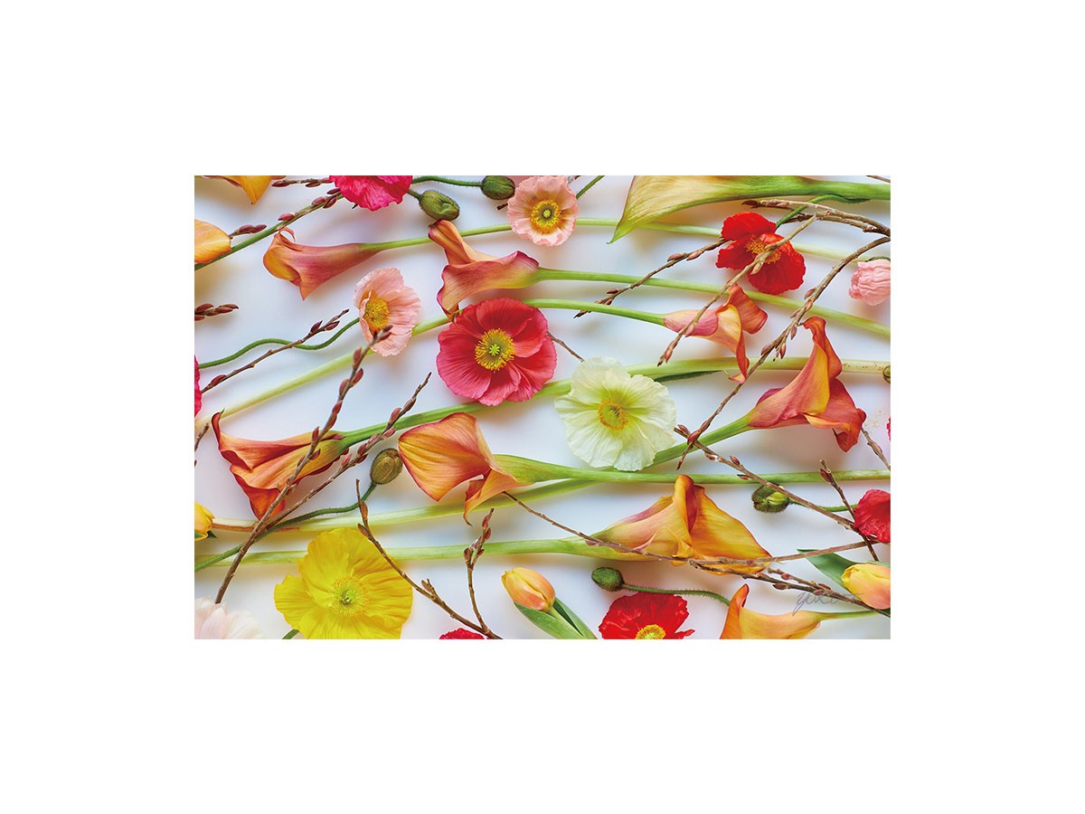 Pastel Bloom Poppy&Calla