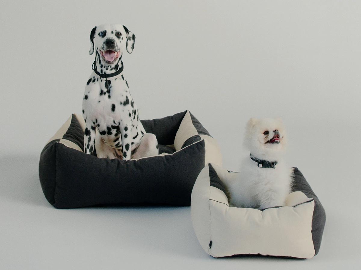 HAY HAY DOGS BY HOLLY GOLIGHTLY
DOGS BED LARGE / ヘイ ヘイ ドッグ コレクション
ドッグベッド ラージ （インテリア雑貨 > ペット用品） 4