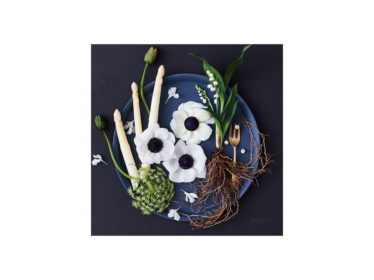 Food inspiered Dish Flowers Asparagus