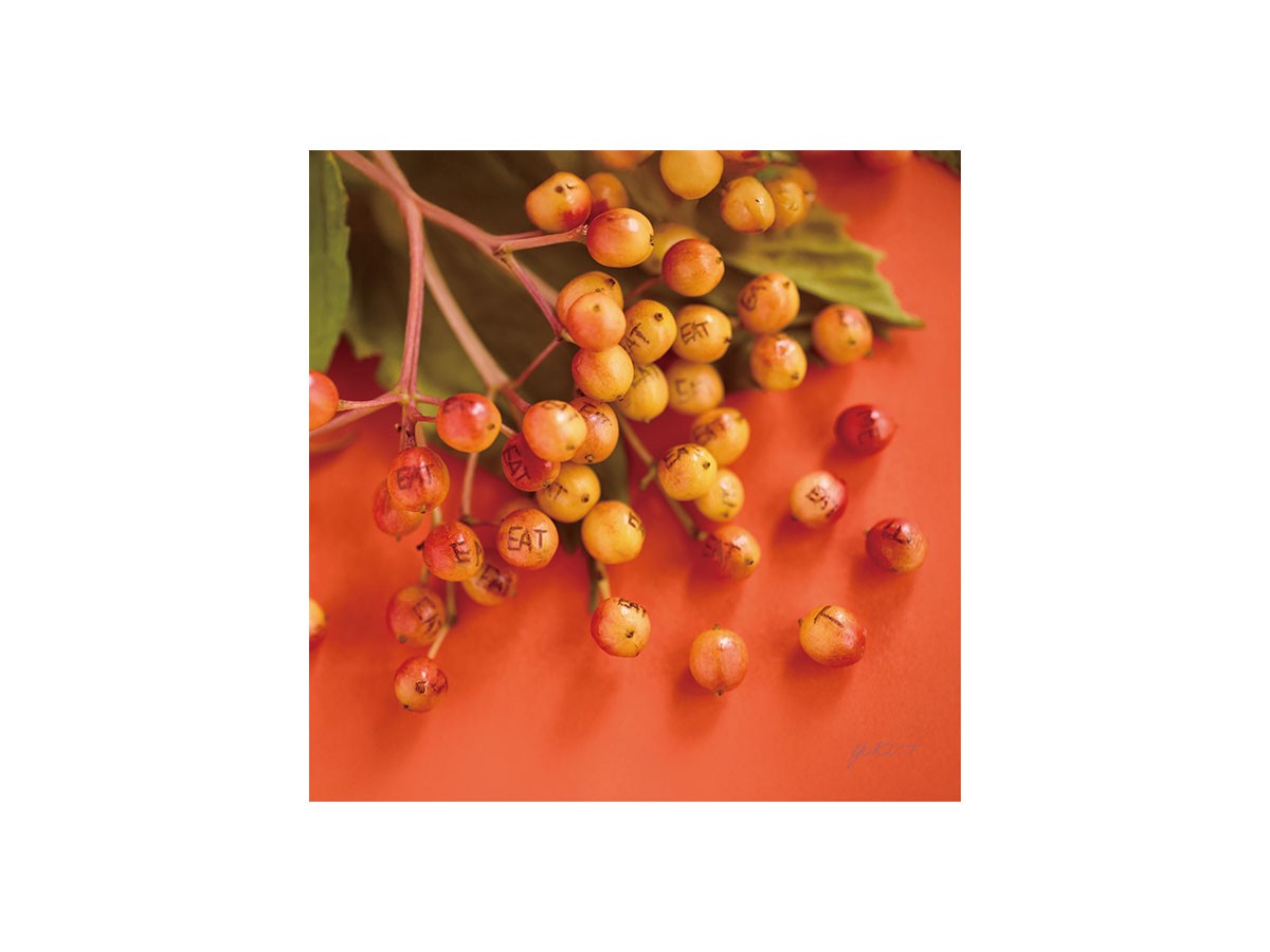 Food inspiered Eat Me