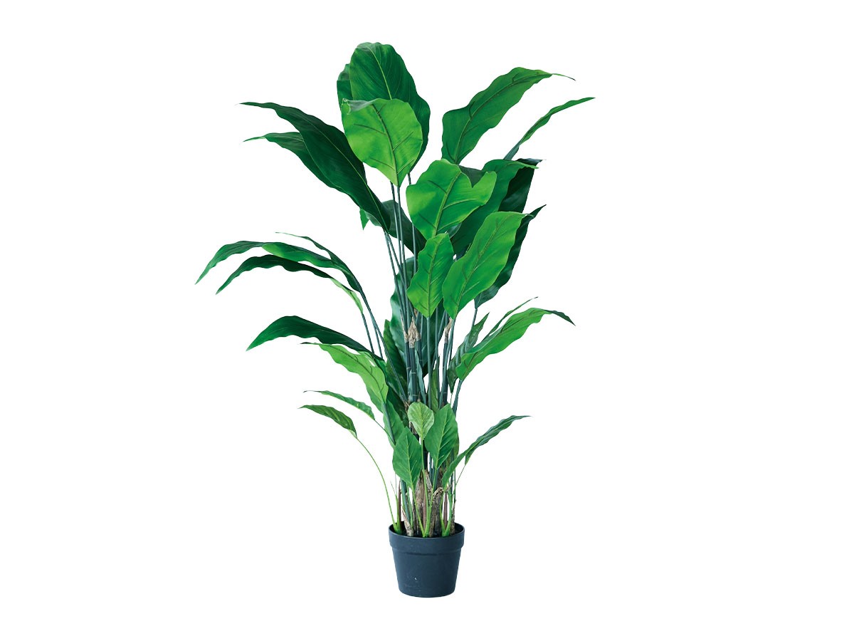 BROWN Spathiphyllum Pot / ブラウン スパティフィラム ポット 120 (花器・プランター・グリーン > フェイクグリーン・フェイクフラワー) 1