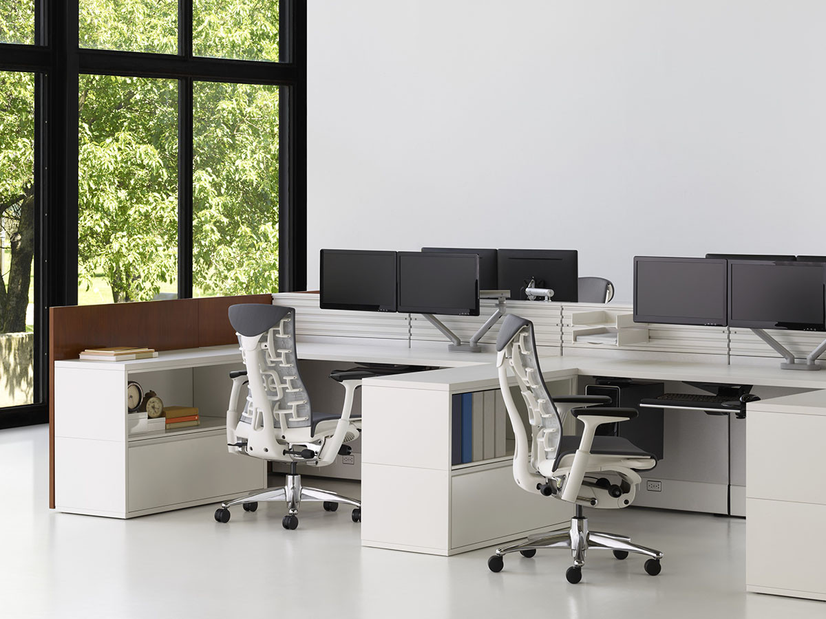 Herman Miller Embody Chair / ハーマンミラー エンボディチェア
ポリッシュドアルミニウムベース × グラファイトカラーフレーム （チェア・椅子 > オフィスチェア・デスクチェア） 11