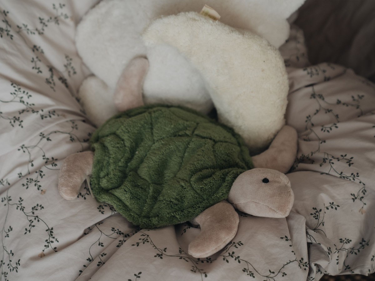 SENGER Naturwelt Cuddly Animal Turtle / ゼンガーナチュウェルト カドリーアニマル タートル S（ファーグリーン） （キッズ家具・ベビー用品 > おもちゃ・玩具） 5