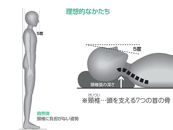 快眠枕 / 頸部支持構造
低反発炭パイプ 4