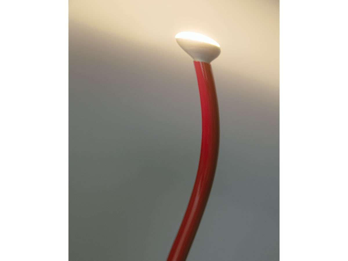 FLOS LUMINATOR LED / フロス ルミナトール LED （ライト・照明 > フロアライト・フロアスタンド） 22