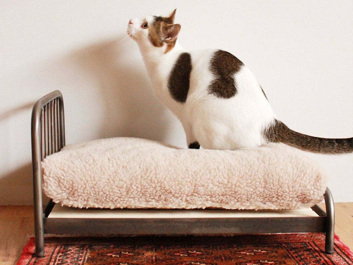 JOURNAL STANDARD FURNITURE SENS BED for CAT / ジャーナル