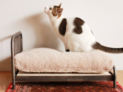 JOURNAL STANDARD FURNITURE SENS BED for CAT / ジャーナル