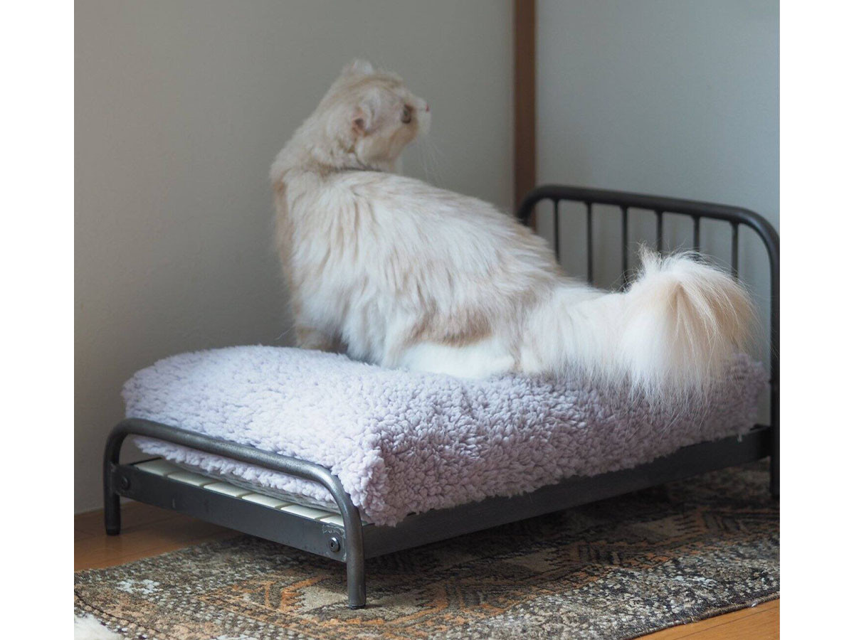 猫用二段ベッド（ハシゴ➕クロス、クッション付き） ジャーナルスタンダード