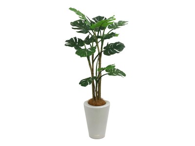 EMILIO ROBBA / エミリオロバのフェイクグリーン・フェイクフラワー  