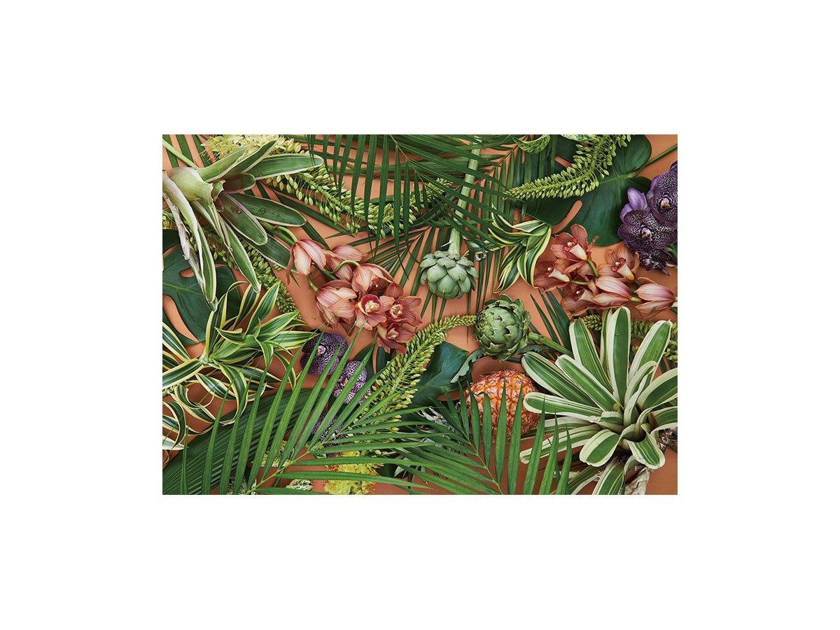 Botanic Orchid Grove