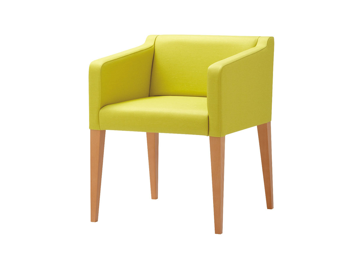 ABORD LOUNGE CHAIR / アボール ラウンジチェア f18472 - インテリア