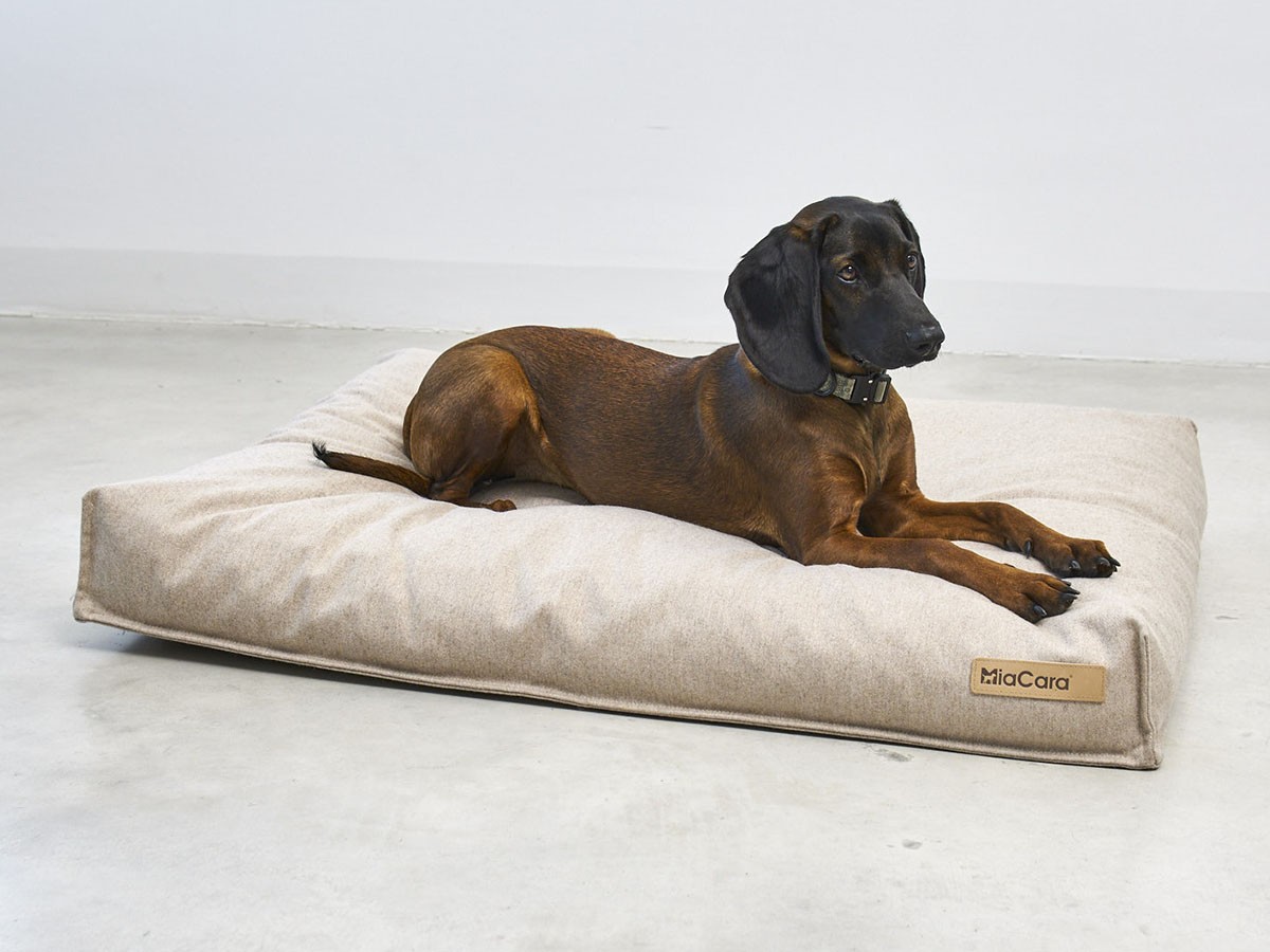 MiaCara Calma Dog Cushion / ミアカラ カルマ ドッグクッション Sサイズ （雑貨・その他インテリア家具 > ペット用品・家具） 2