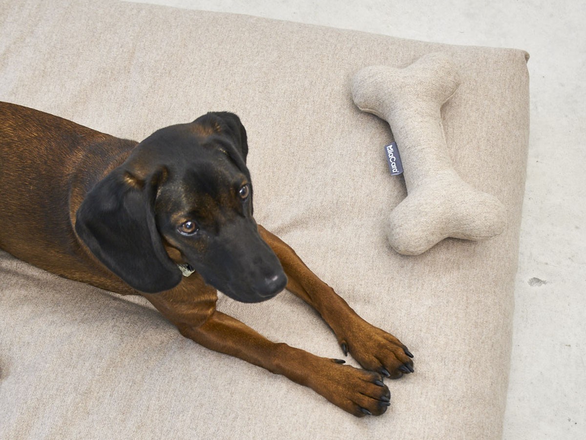MiaCara Calma Dog Cushion / ミアカラ カルマ ドッグクッション Sサイズ （雑貨・その他インテリア家具 > ペット用品・家具） 19