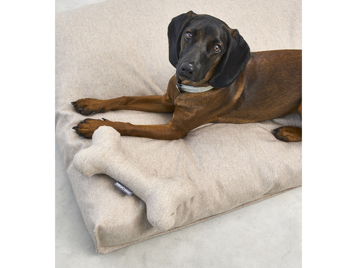 MiaCara Calma Dog Cushion / ミアカラ カルマ ドッグクッション Sサイズ （雑貨・その他インテリア家具 > ペット用品・家具） 20