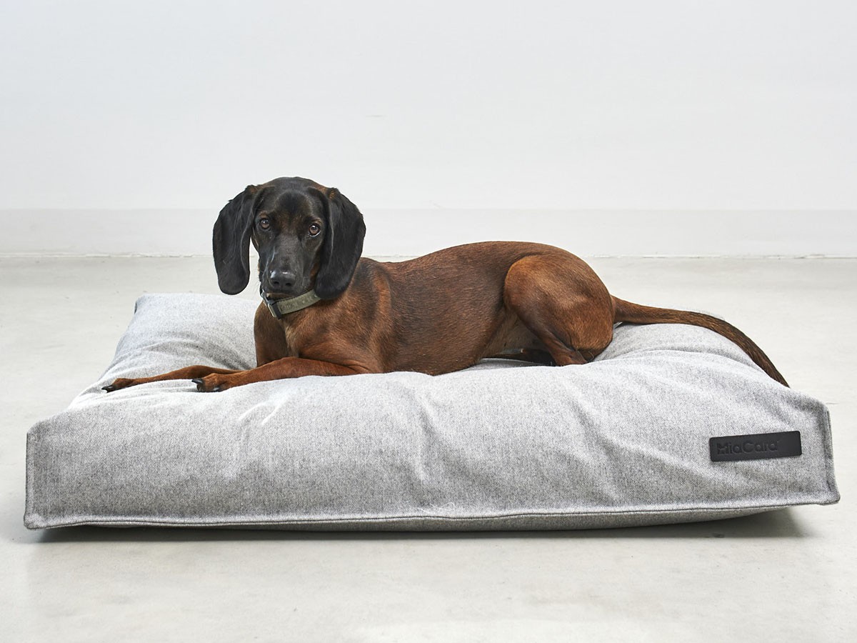 MiaCara Calma Dog Cushion / ミアカラ カルマ ドッグクッション Sサイズ （雑貨・その他インテリア家具 > ペット用品・家具） 7