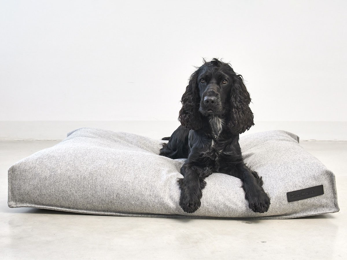 MiaCara Calma Dog Cushion / ミアカラ カルマ ドッグクッション Sサイズ （雑貨・その他インテリア家具 > ペット用品・家具） 1
