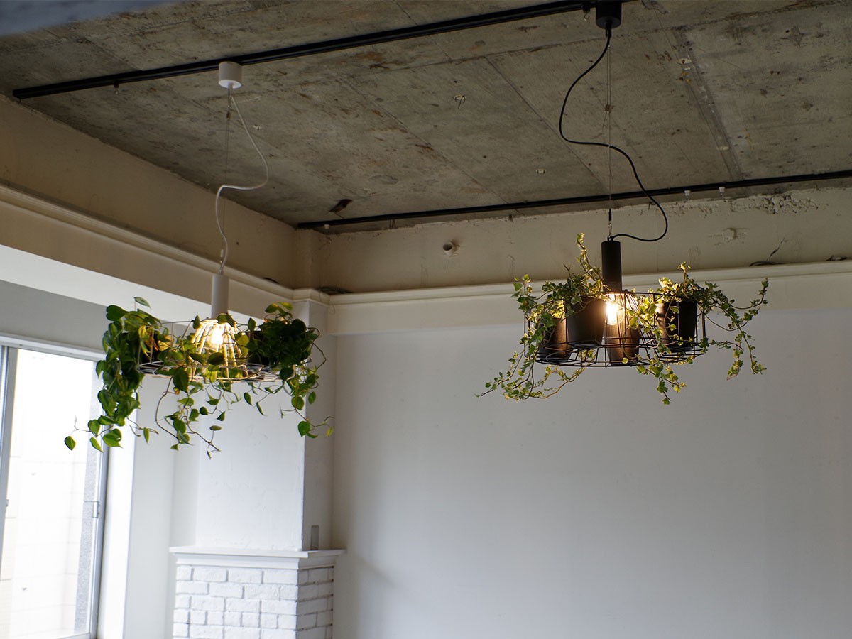 Green Pendant Light / グリーン ペンダントライト #121948 （ライト・照明 > ペンダントライト） 4