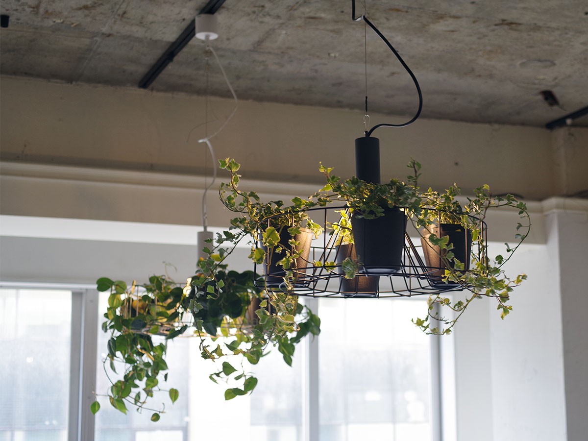 Green Pendant Light / グリーン ペンダントライト #121948 （ライト・照明 > ペンダントライト） 6