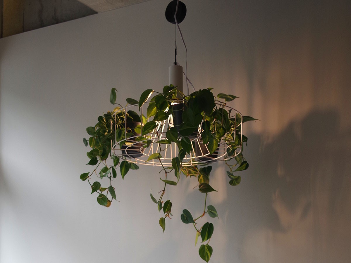 Green Pendant Light / グリーン ペンダントライト #121948 （ライト・照明 > ペンダントライト） 9