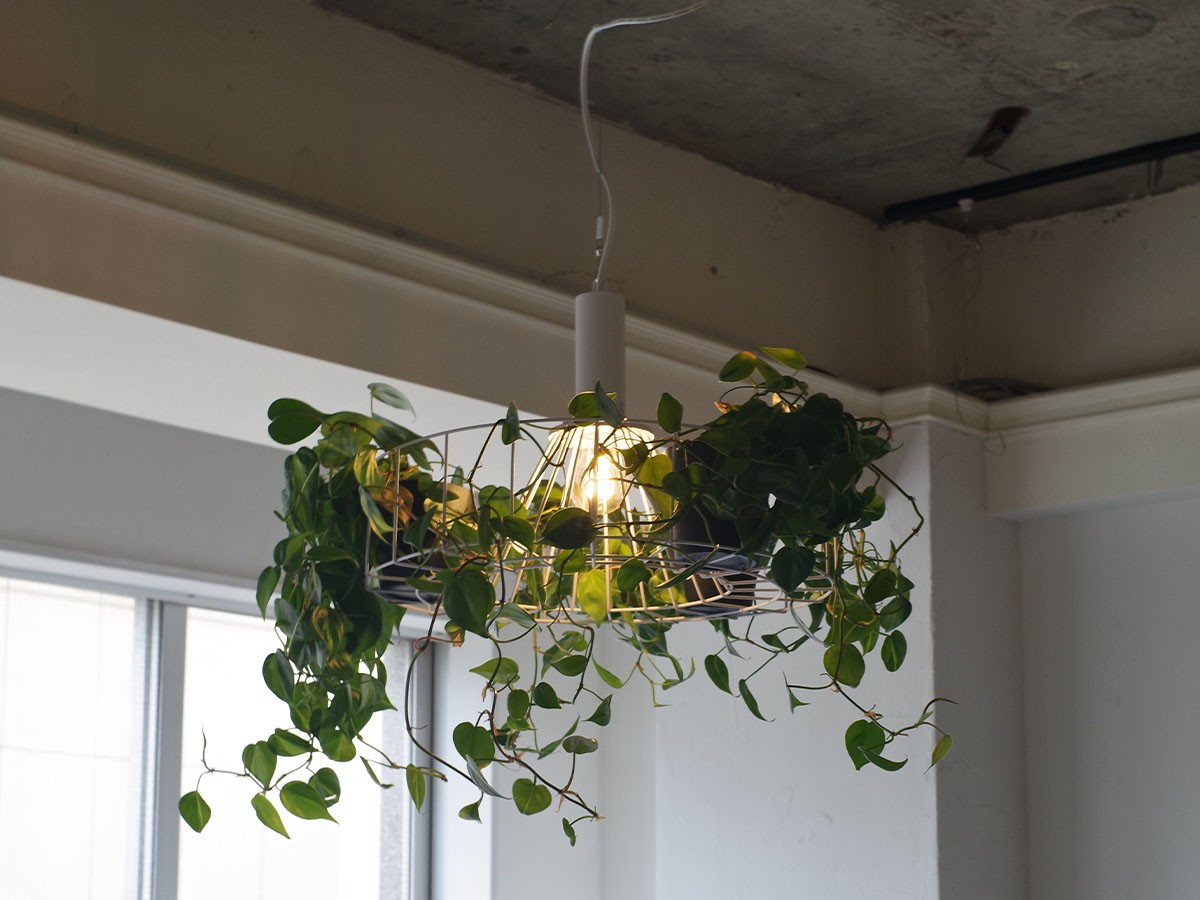 Green Pendant Light / グリーン ペンダントライト #121948 （ライト・照明 > ペンダントライト） 8