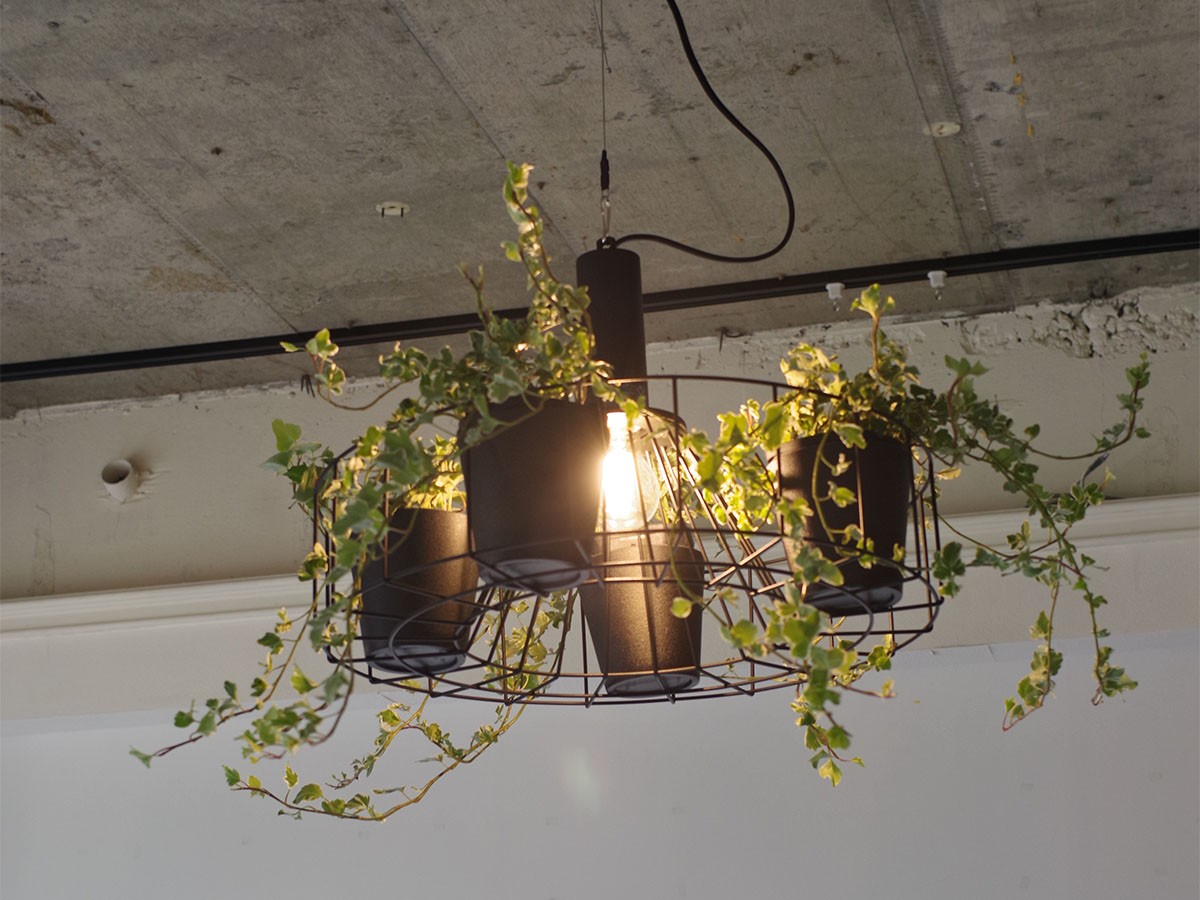 Green Pendant Light / グリーン ペンダントライト #121948 （ライト・照明 > ペンダントライト） 13