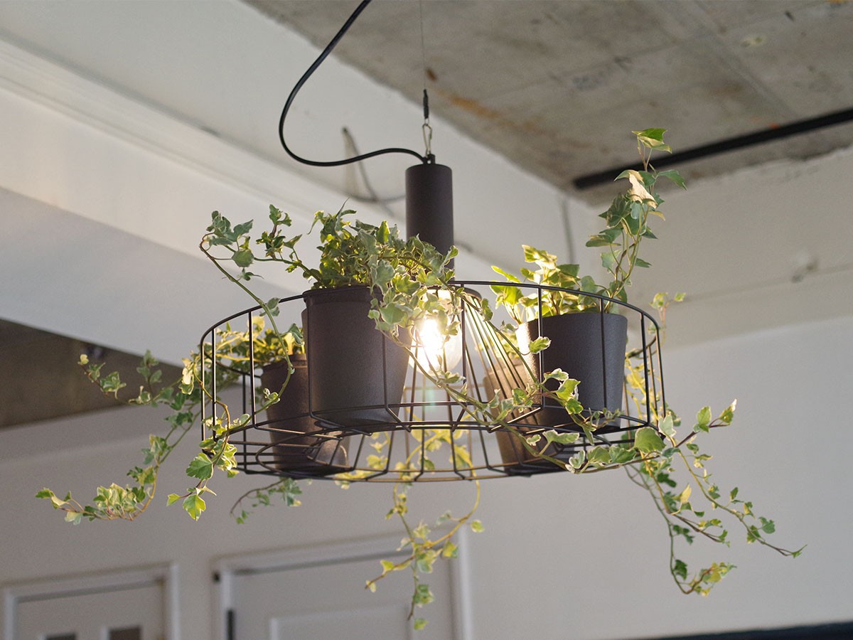 Green Pendant Light / グリーン ペンダントライト #121948 （ライト・照明 > ペンダントライト） 12