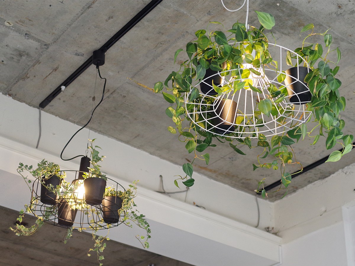 Green Pendant Light / グリーン ペンダントライト #121948 （ライト・照明 > ペンダントライト） 7