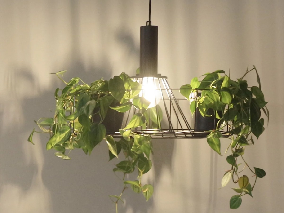 Green Pendant Light / グリーン ペンダントライト #121948 （ライト・照明 > ペンダントライト） 16