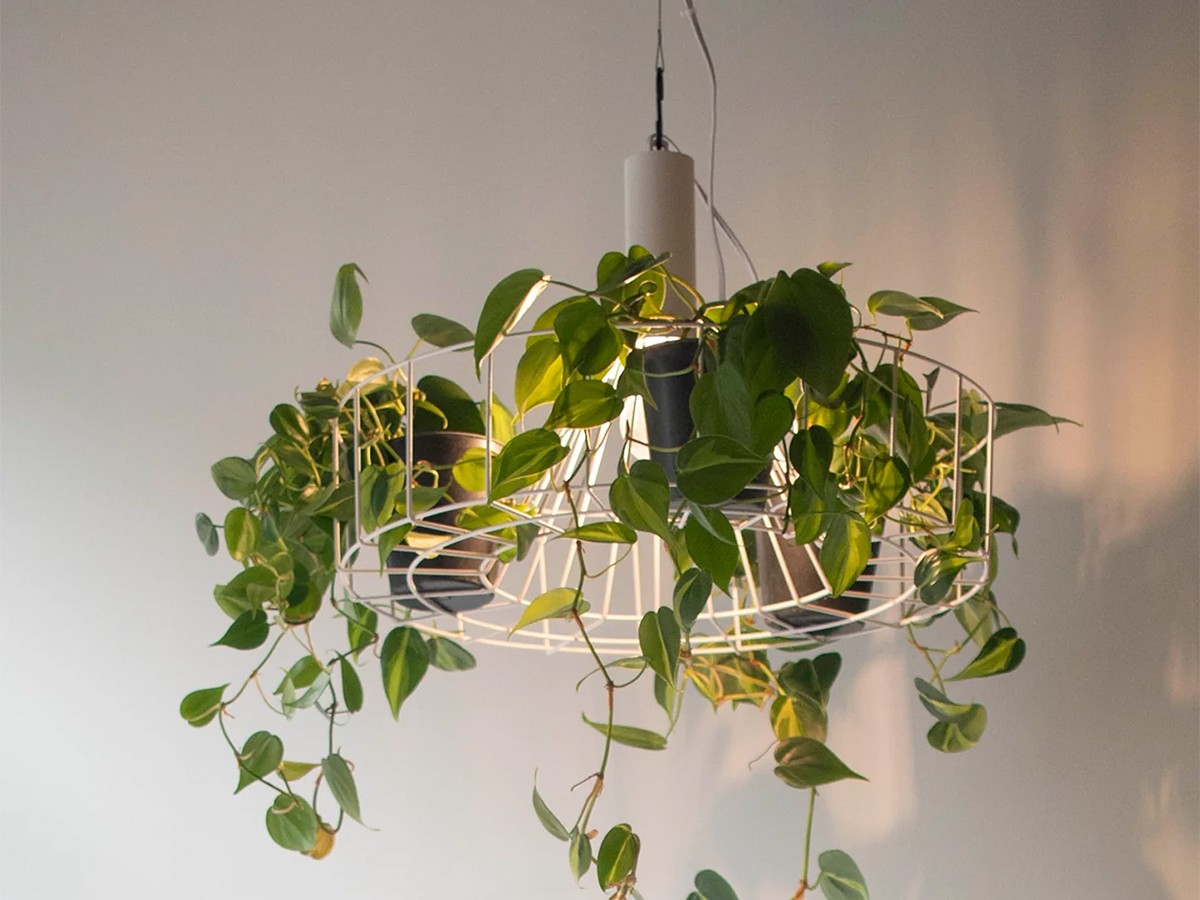 Green Pendant Light / グリーン ペンダントライト #121948 （ライト・照明 > ペンダントライト） 10