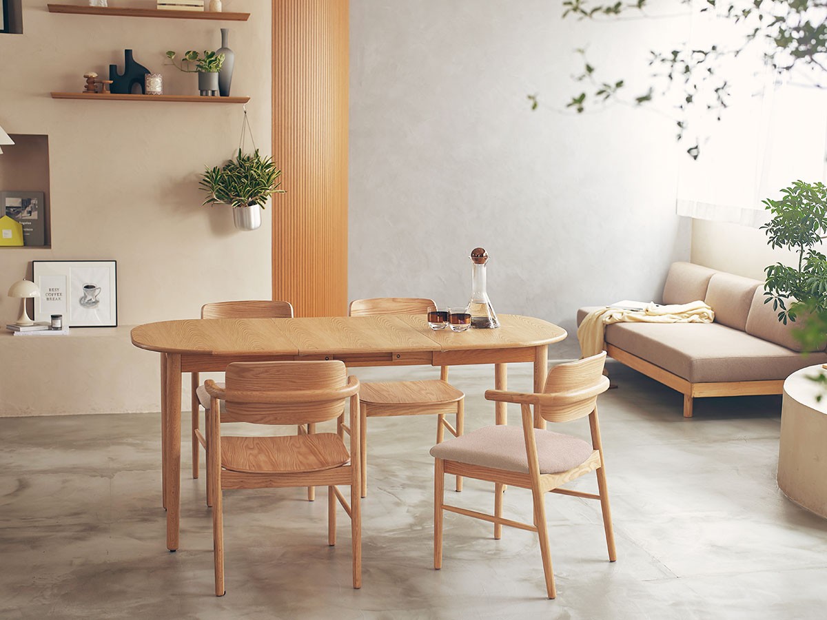 nook dining chair half arm / ヌーク ダイニングチェア ハーフアーム （チェア・椅子 > ダイニングチェア） 3