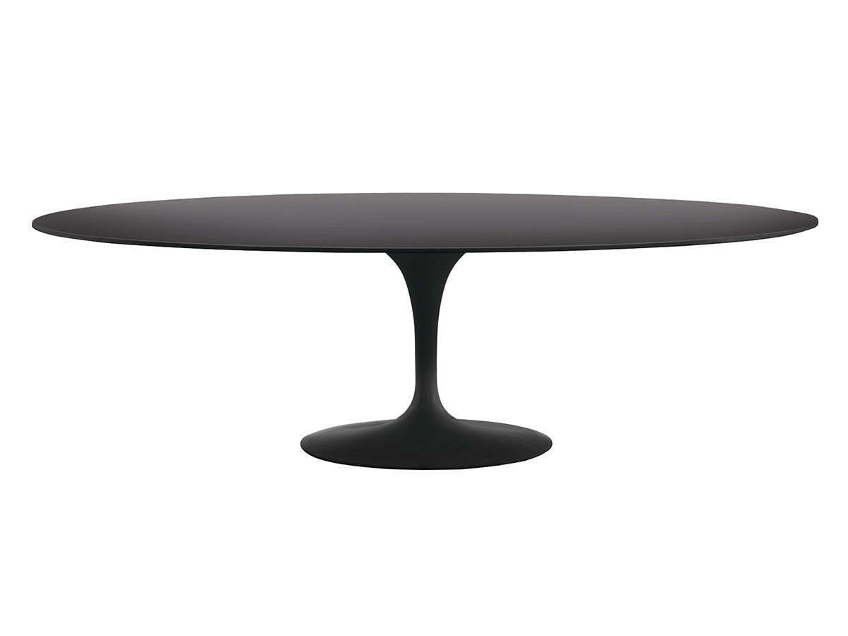 Knoll Saarinen Collection
Oval Table / ノル サーリネン コレクション
オーバルテーブル （テーブル > ダイニングテーブル） 3