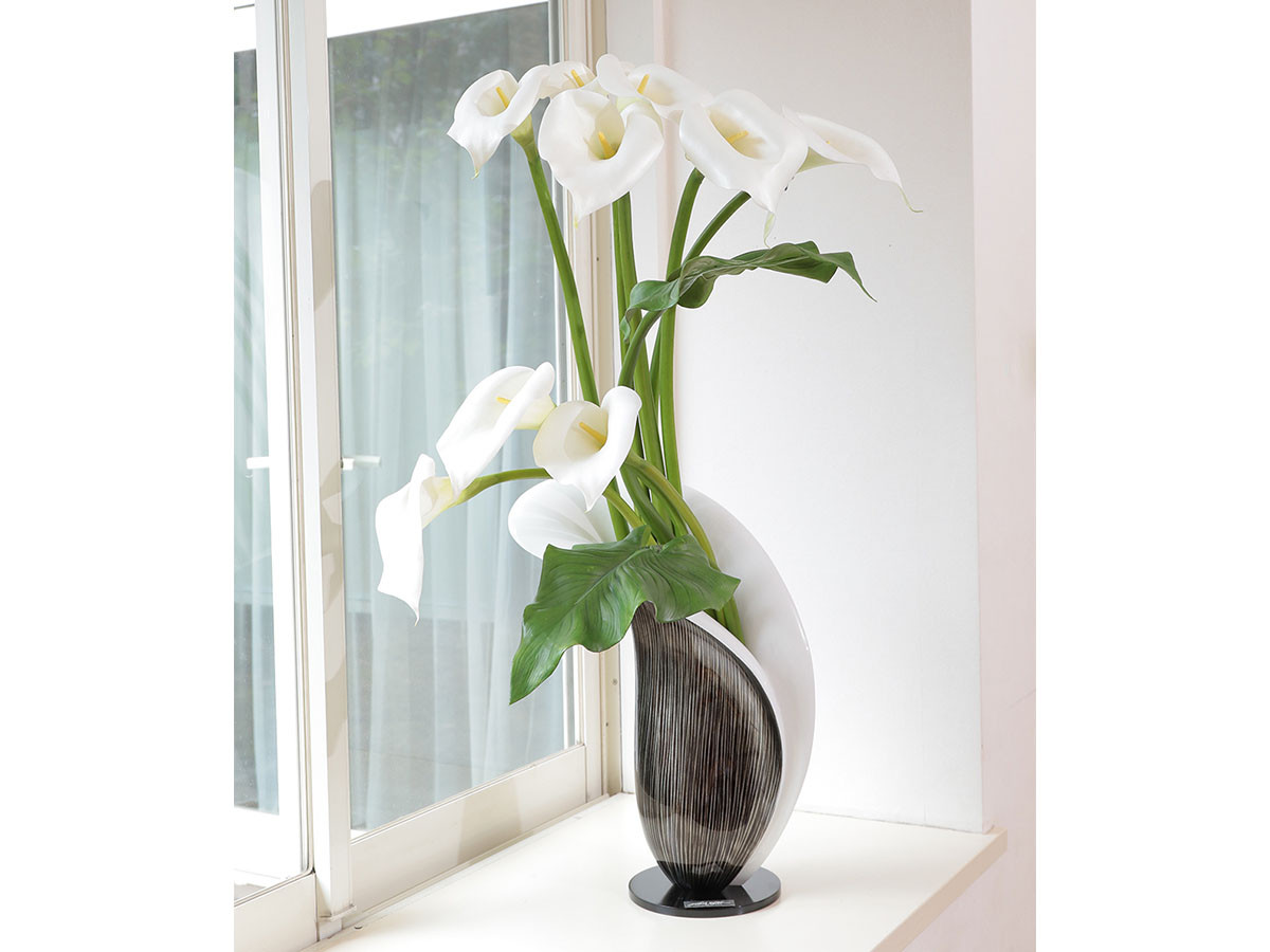 EMILIO ROBBA CALLA / エミリオロバ カラー - インテリア・家具通販