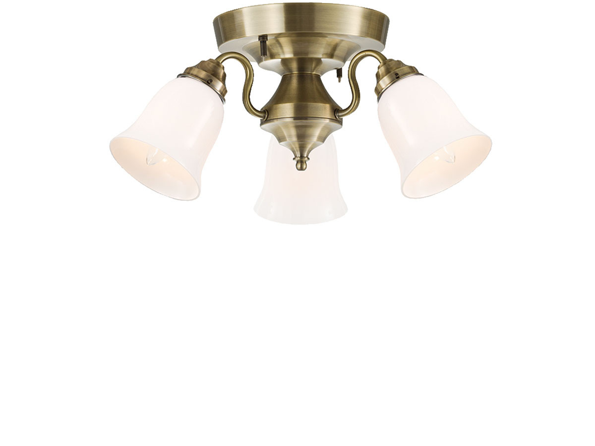 CUSTOM SERIES
3 Ceiling Lamp × Trans Soil / カスタムシリーズ
3灯シーリングランプ × トランス（ソイル） （ライト・照明 > シーリングライト） 11