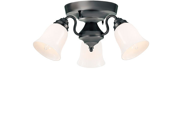 CUSTOM SERIES
3 Ceiling Lamp × Trans Soil / カスタムシリーズ
3灯シーリングランプ × トランス（ソイル） （ライト・照明 > シーリングライト） 3