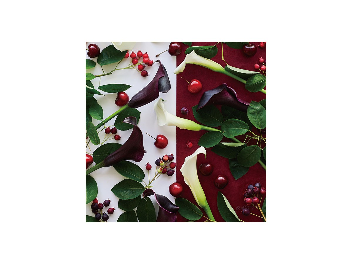 Geometric Bicolor Cherry