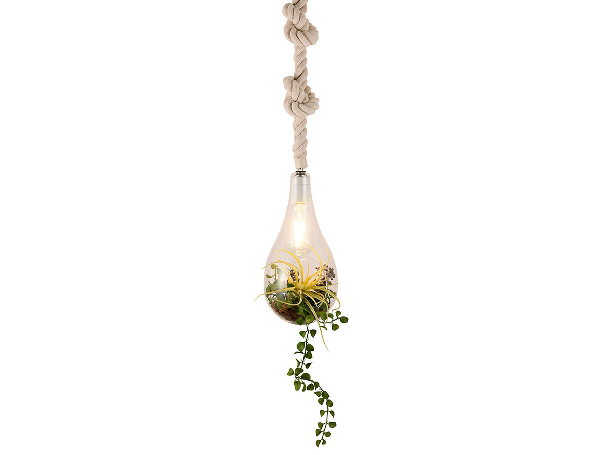 BOTANIC Hanging light with FAKEGREEN / ボタニック ハンギングライト フェイクグリーン付 M / FGG （ライト・照明 > ペンダントライト） 2
