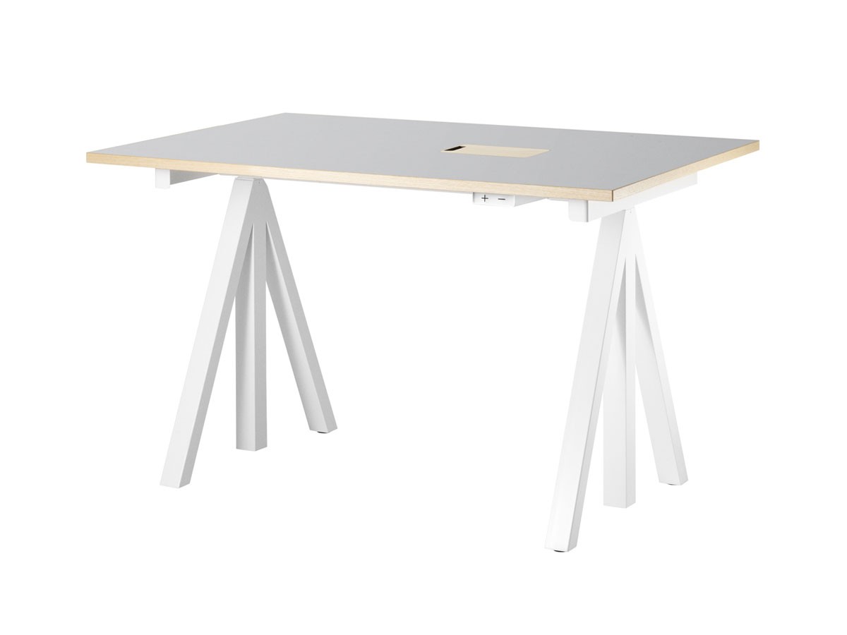 String Furniture Works Sit-stand Desk / Electrical / ストリングファニチャー ワークス 昇降式ワークデスク 幅120cm リノリウム天板 （テーブル > 昇降式テーブル） 1