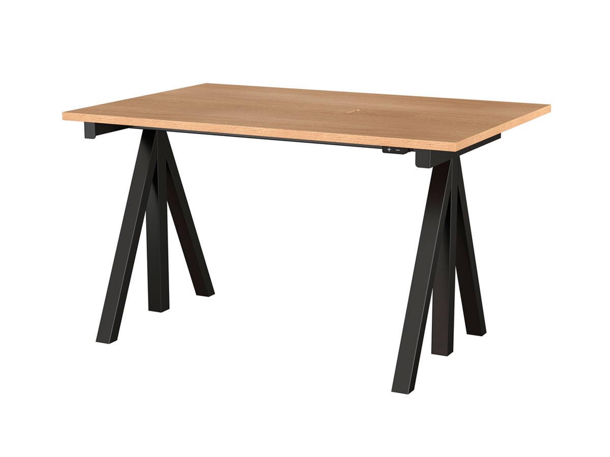 String Furniture Works Sit-stand Desk / Electrical / ストリングファニチャー ワークス 昇降式ワークデスク 幅120cm リノリウム天板 （テーブル > 昇降式テーブル） 10