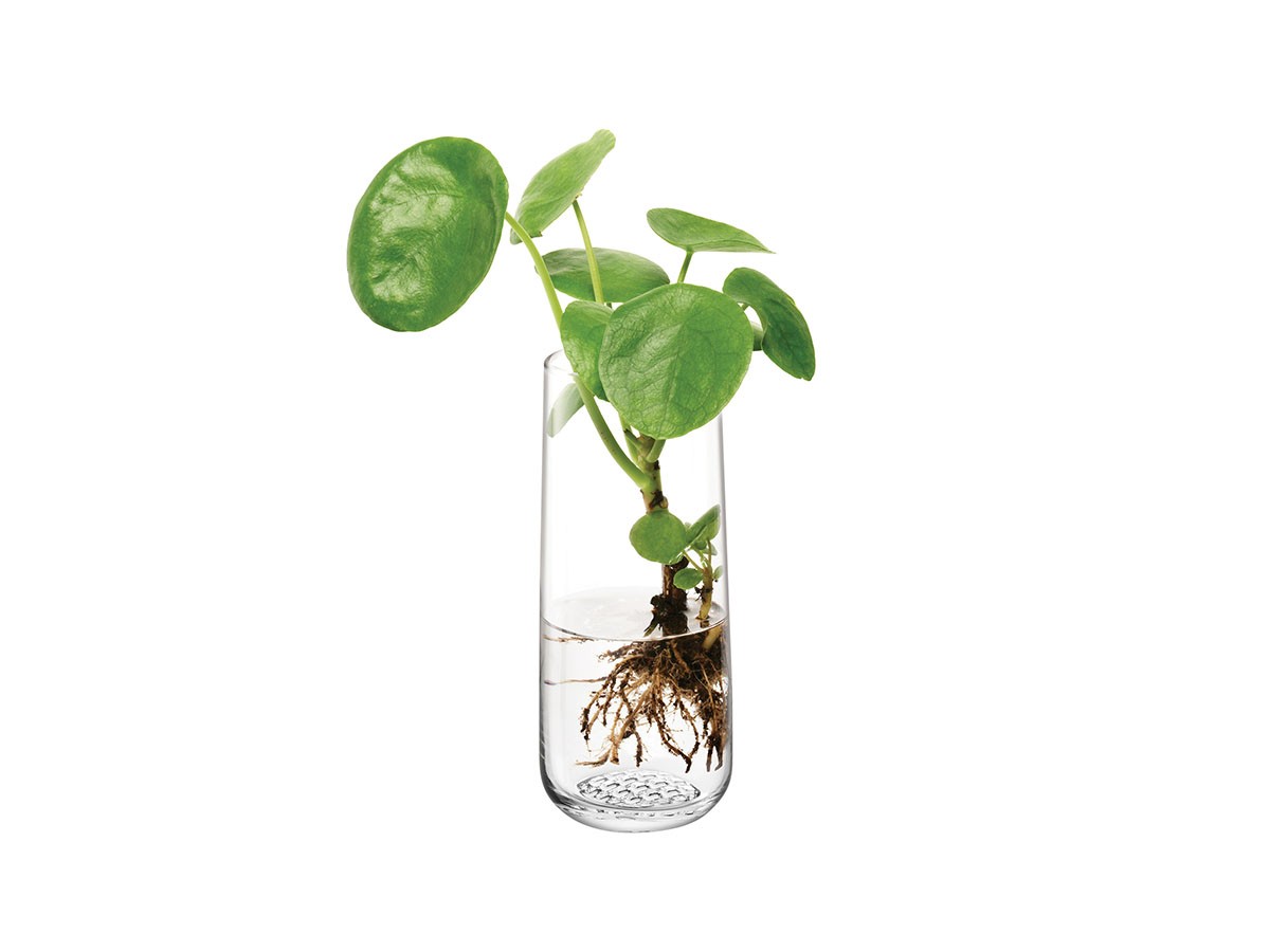LSA International MARKET BUD VASE / エルエスエー インターナショナル マーケット バド ベース （花器・プランター・グリーン > 花瓶・フラワーベース） 4