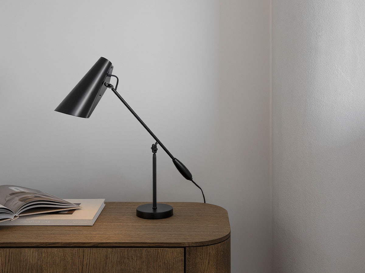 Northern Birdy Table Lamp / ノーザン バーディ テーブルランプ （ライト・照明 > テーブルランプ） 11