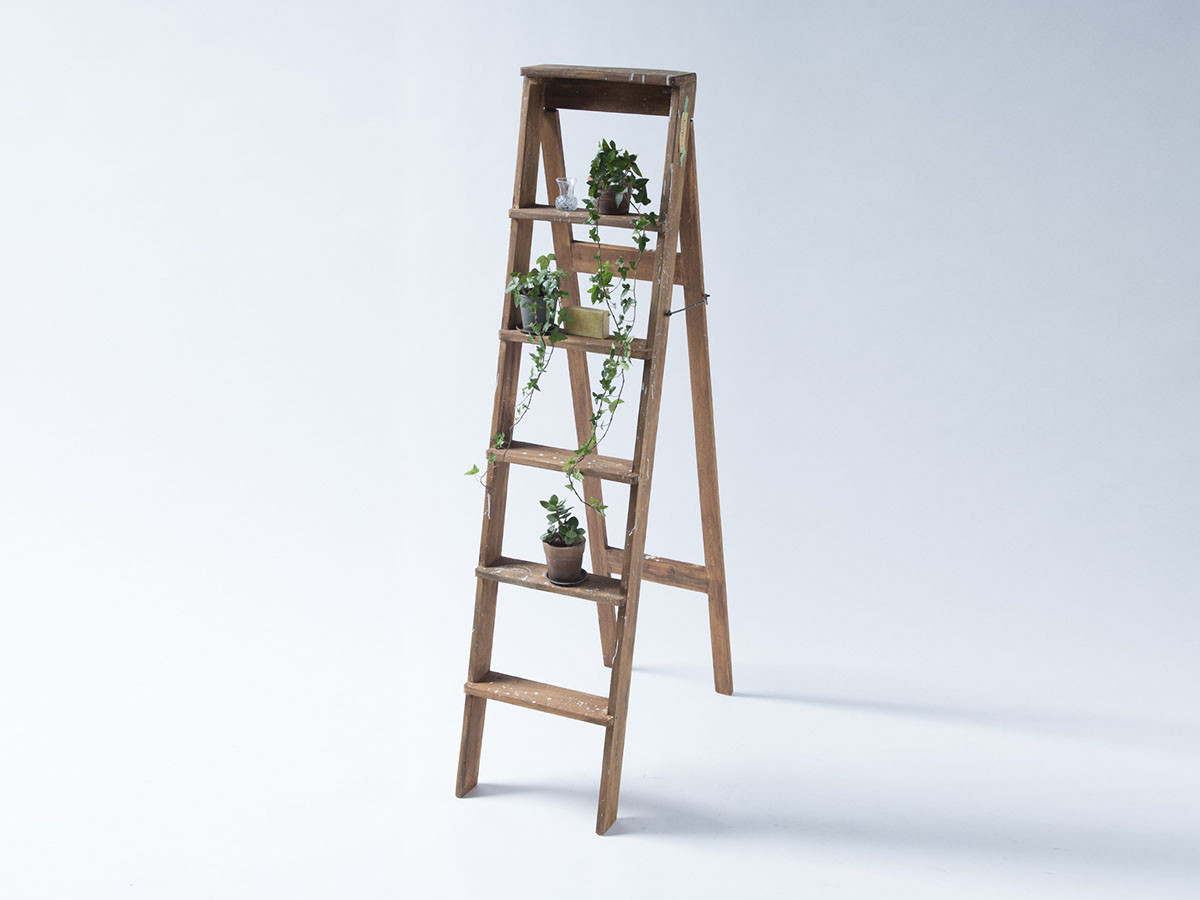 Display Ladder 1