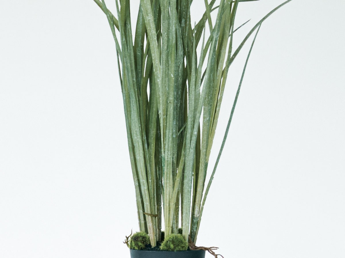 BROWN Grass Pot / ブラウン グラス ポット （花器・プランター・グリーン > フェイクグリーン・フェイクフラワー） 4