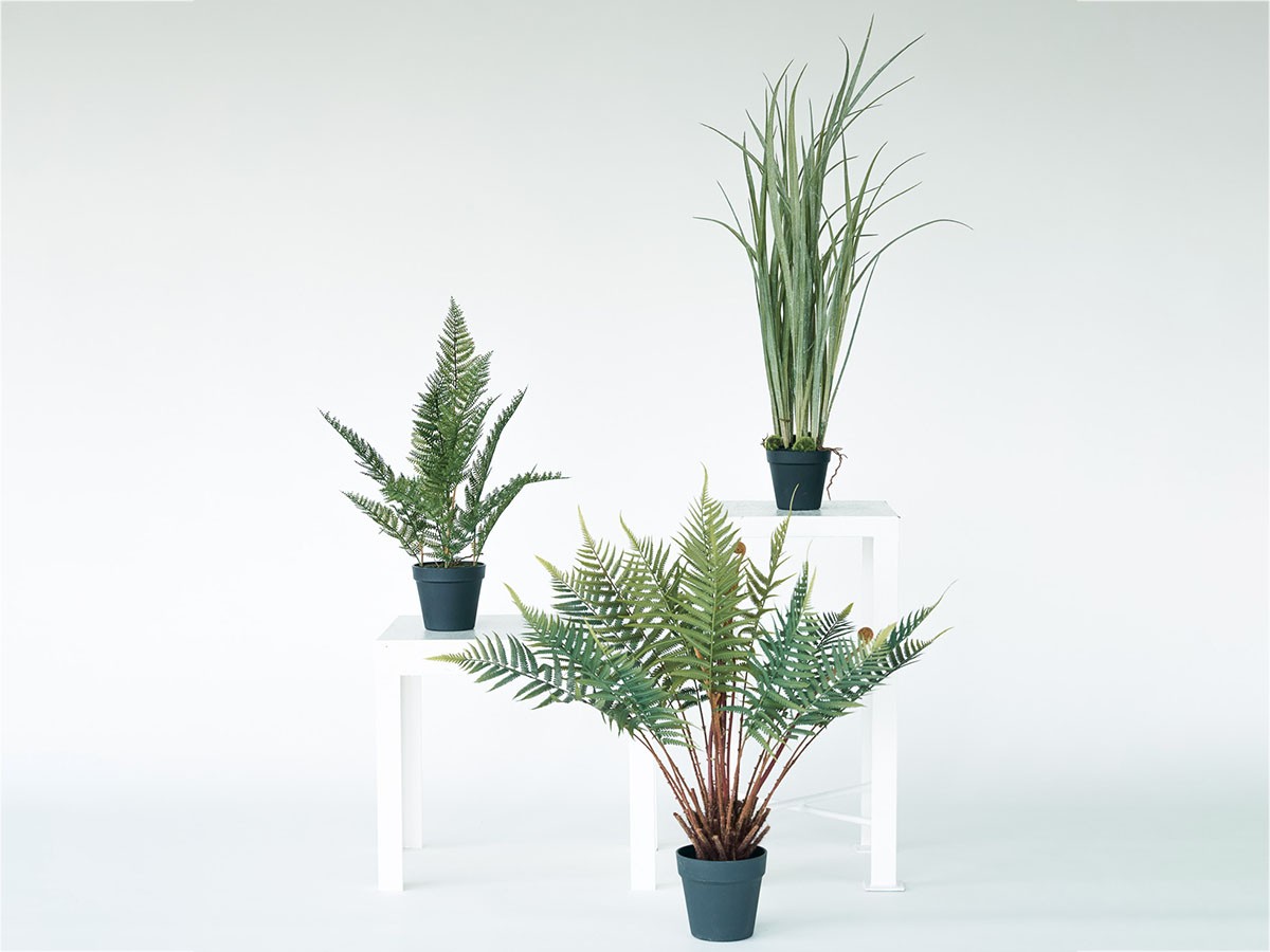 BROWN Grass Pot / ブラウン グラス ポット （花器・プランター・グリーン > フェイクグリーン・フェイクフラワー） 2