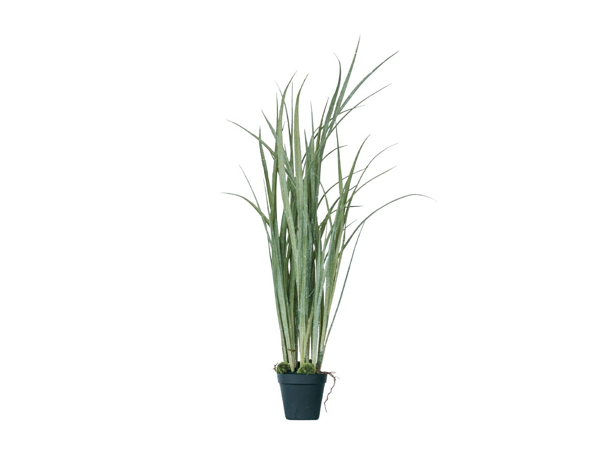 BROWN Grass Pot
